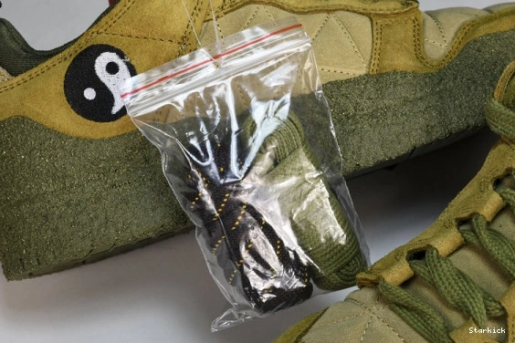 Cactus CPFM   Flea 1 DM0430-700 Desert  Market Plant Flea Moss Nike 0720